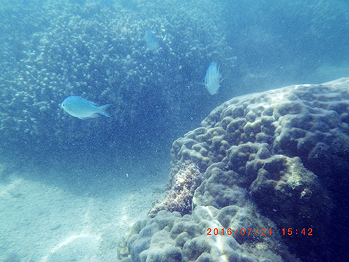 RIMG0940.jpg