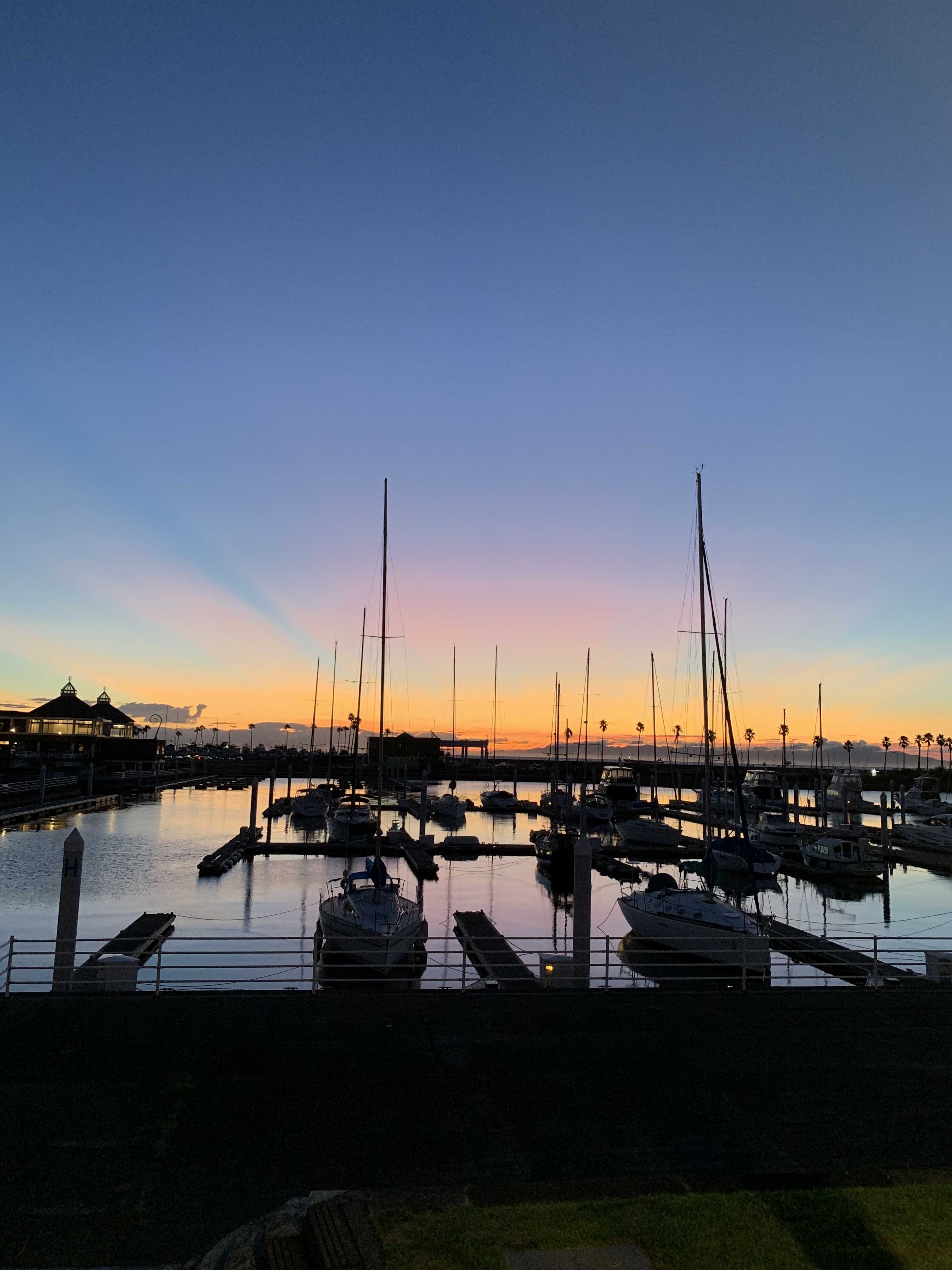 アメリカ移住妻の日記　inLA