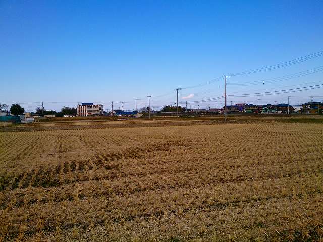 20160131花と緑新年会０１