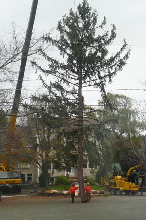 Sandy02.jpg