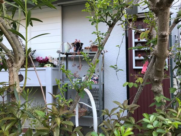 rblog-20180408181337-01.jpg