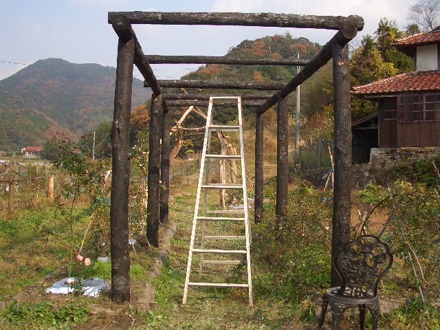 CIMG8027.JPG