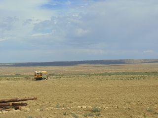 RIMG0290.jpg