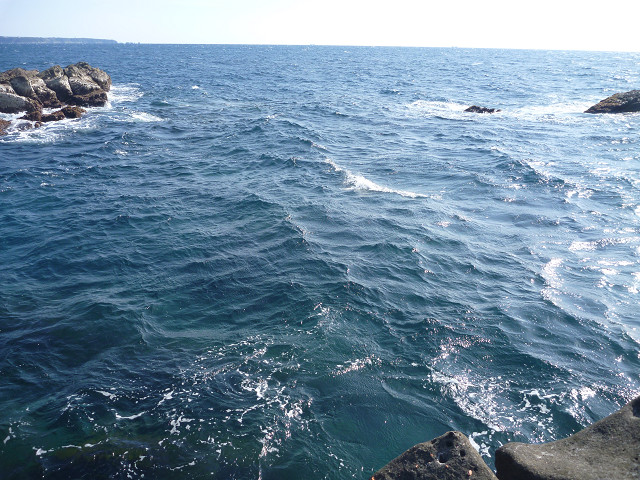 resize0028.jpg