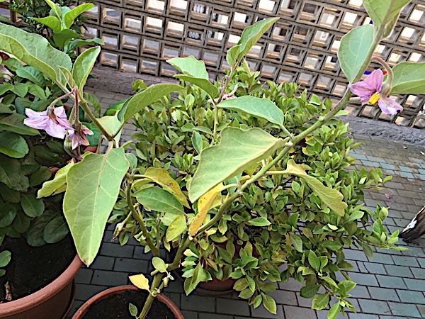 rblog-20180908083317-02.jpg