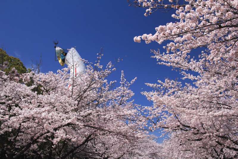 万博記念公園_006.jpg