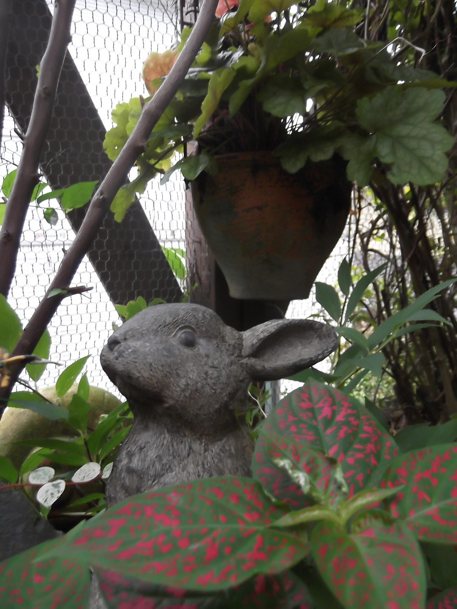 DSCF4788.JPG