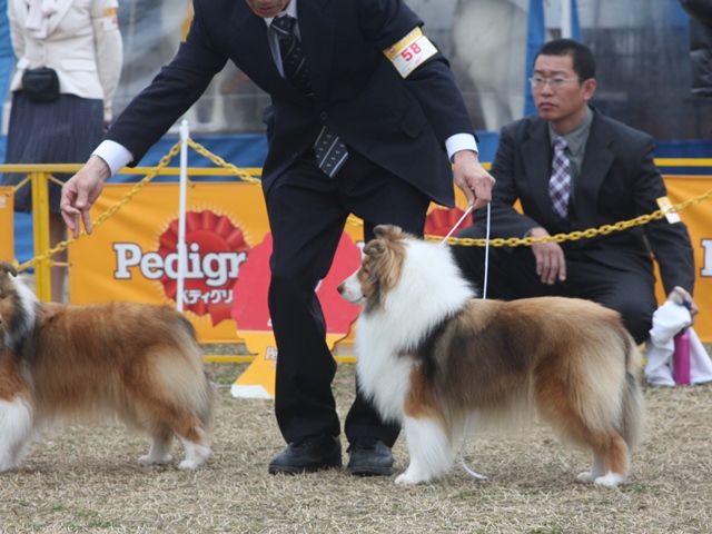 IMG_0987 - コピー.JPG