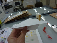 P1000130 P1000130