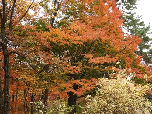 皇居東御苑