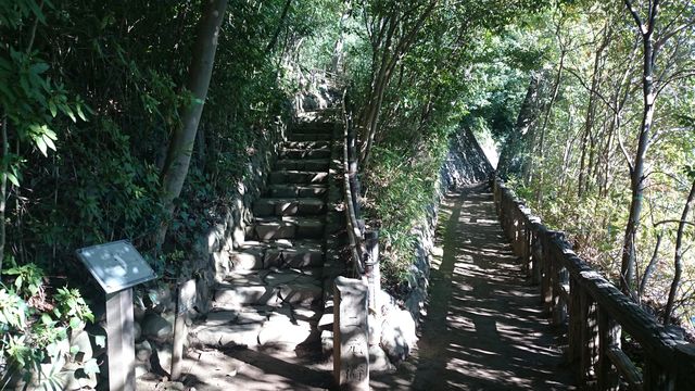 2015-11-03 13.40.56.jpg
