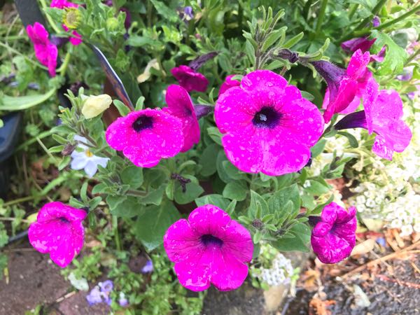 rblog-20190401163305-09.jpg