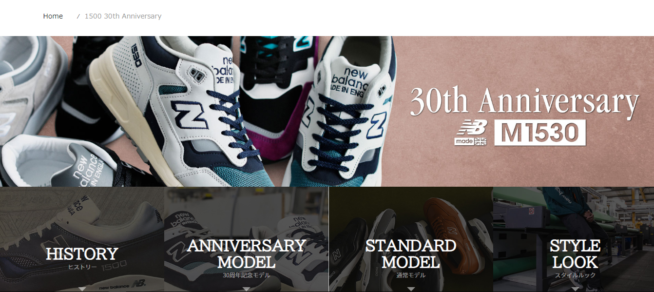 New Balance - New Balance M1500 30周年記念 ニューバランス 28cmの+