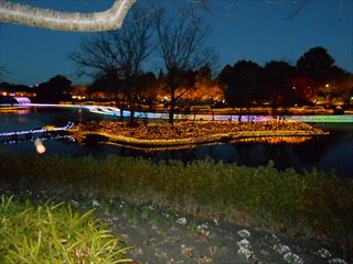 DSCN8619_R.JPG