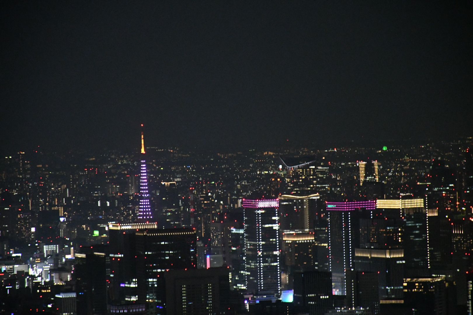 スカイツリーからの夜景 茶柴ポメ子のいろいろ日記 飛行機 動物たち 風景夜景色々 楽天ブログ