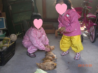 CIMG6807.JPG
