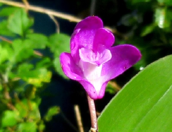 P1070021-001.JPG