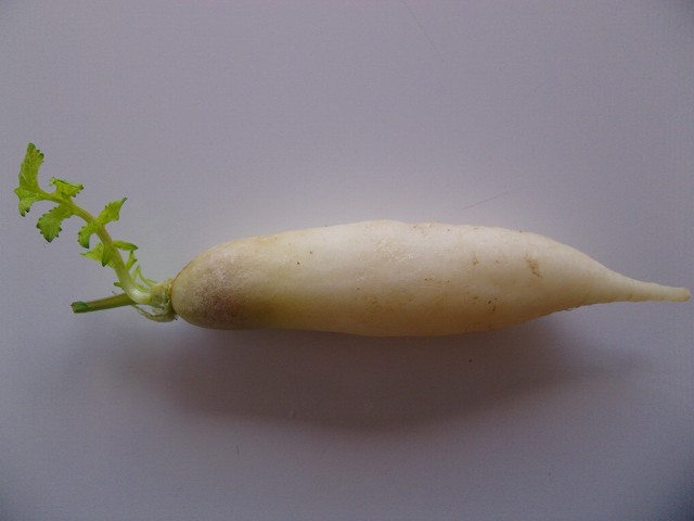 GEDC1563.jpg