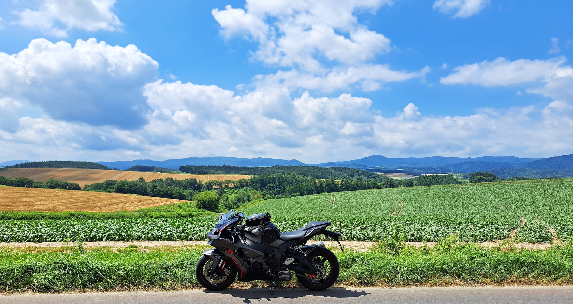 b62033be58db07f3f005c8124dc529