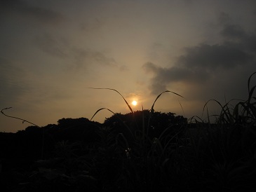 IMG_9416.JPG