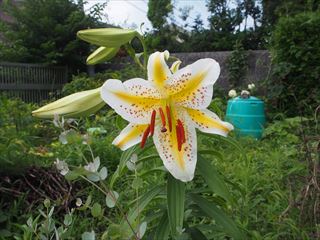 P7030608_R.JPG