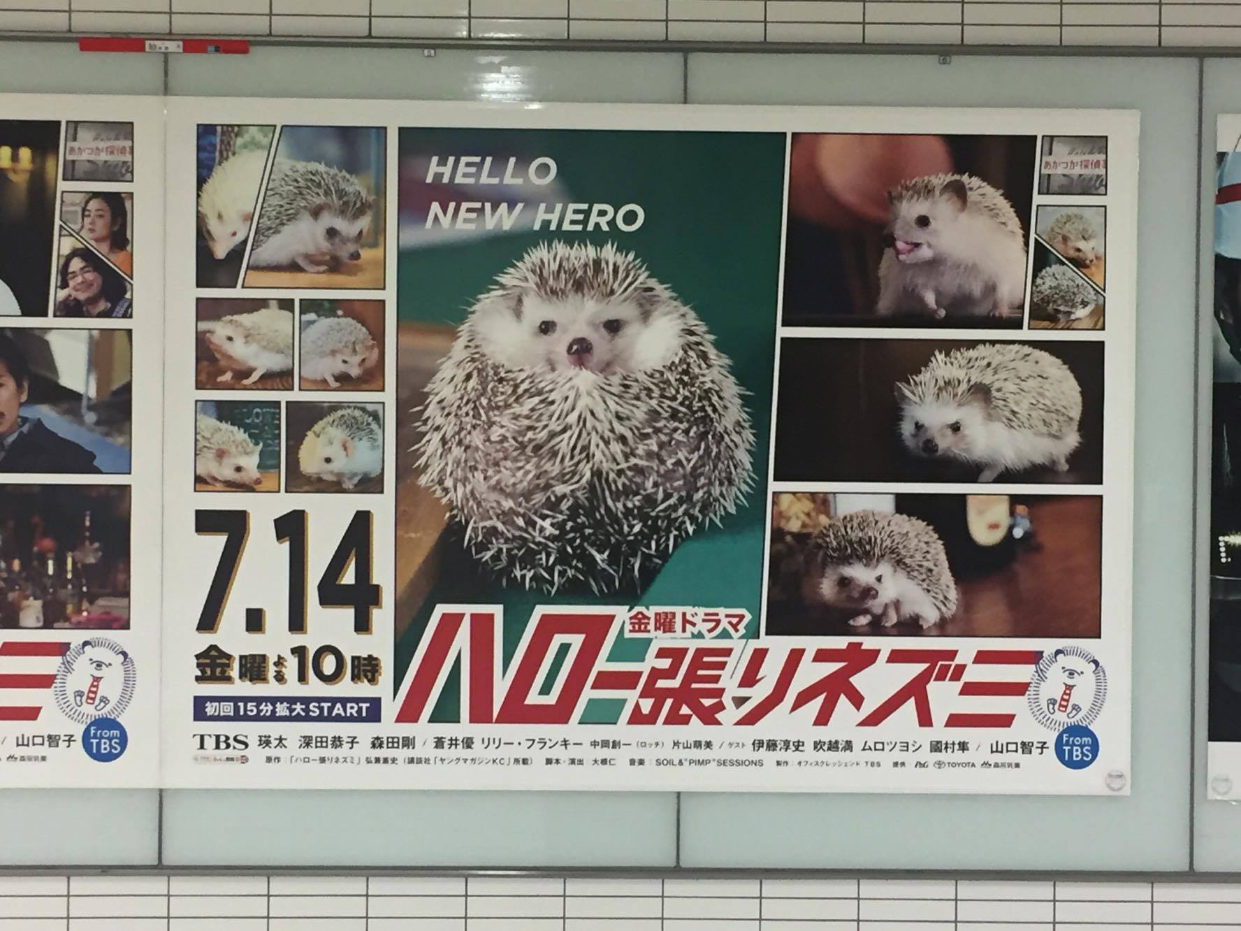 池袋でもハロー張りネズミ始まるよ 笑 あうるぱーくフクロウカフェ池袋のブログ 楽天ブログ