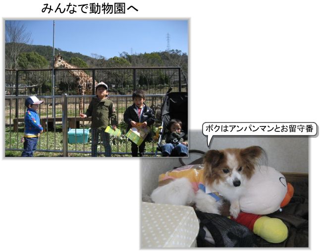 安佐動物公園