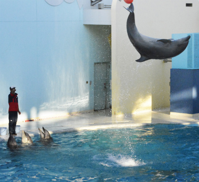 須磨水族館73