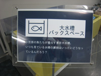 0804バックヤード.jpg