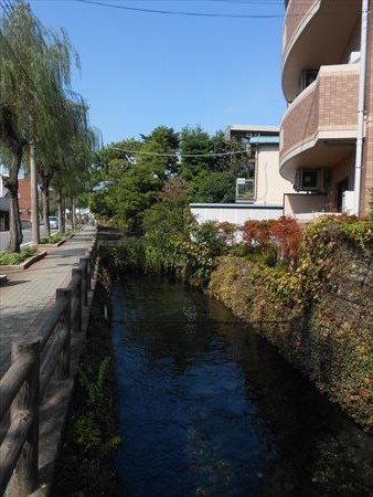 三島　桜川