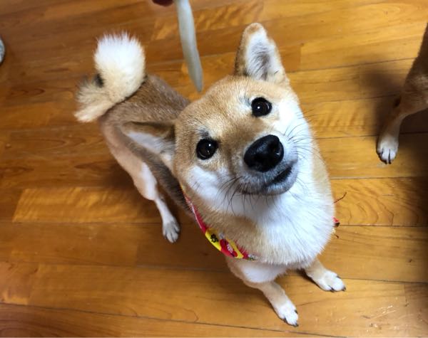 rblog-20190105141603-01.jpg