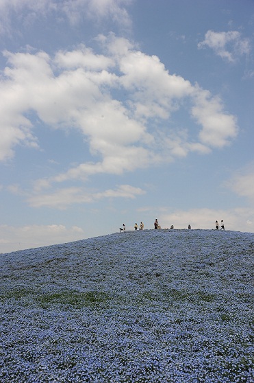 2011.4.29 014.JPG