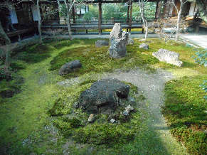 DSCN2630.jpg