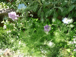 P1020779ss.jpg