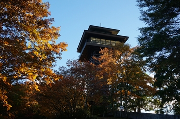 DSC01435.JPG
