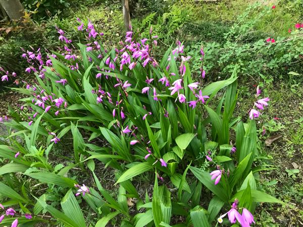 rblog-20180429182853-08.jpg