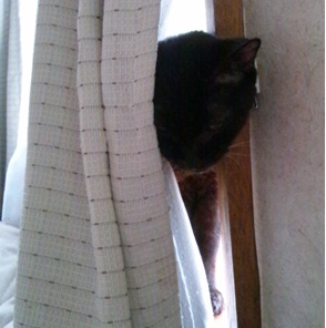 20120630_3.jpg