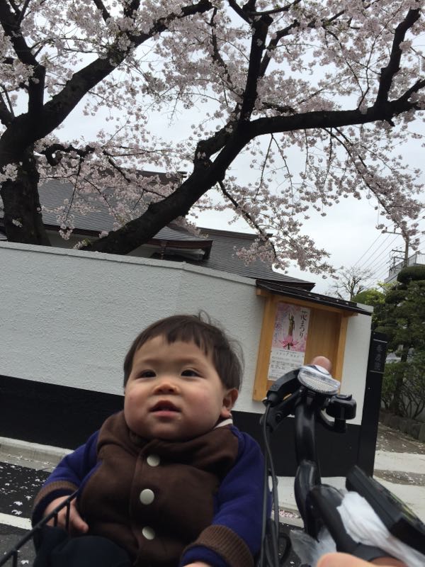 rblog-20160407153158-02.jpg