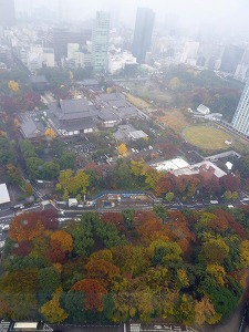 20141129(25).jpg