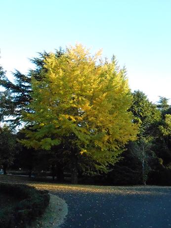 DSCN0874.jpg