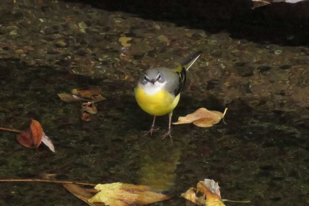 498
