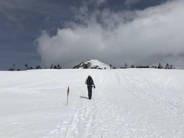まだ雪の至仏山♬ | たんぽぽ730 - 楽天ブログ