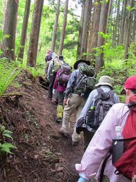 登山４涼風.jpg