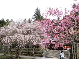 奥の院５.jpg