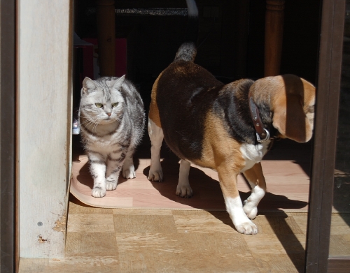 DSC_0172.JPG
