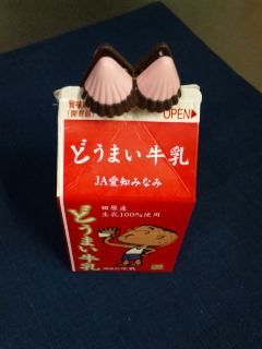 手作りケフィアヨーグルトの種菌