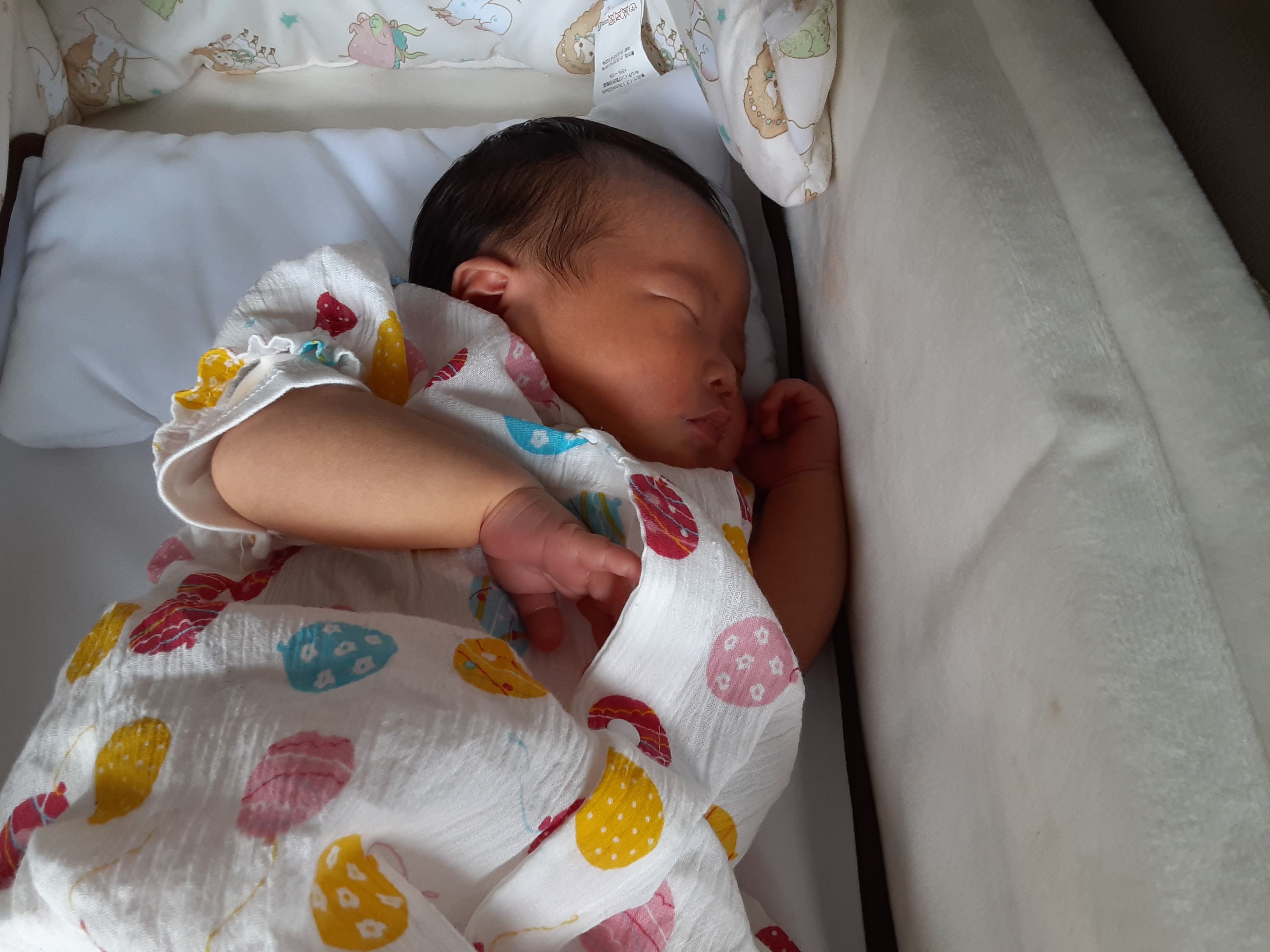 出産 退院 双子ちゃん シロツメグサ カラス 赤ちゃん とびっちの あそブログ 楽天ブログ