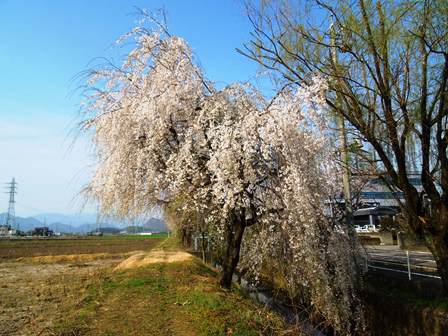 DSCN9597a.jpg