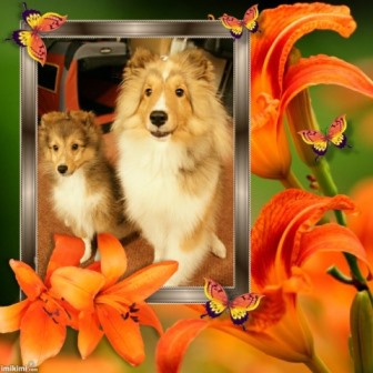 Tess - Summer Color - 2zxDa-1TAdt - normal.jpg