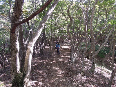 DSCN6149s.jpg